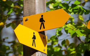 Vorherbestimmung oder freier Wille - ein Paradox?