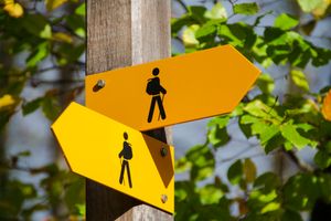 Vorherbestimmung oder freier Wille - ein Paradox?