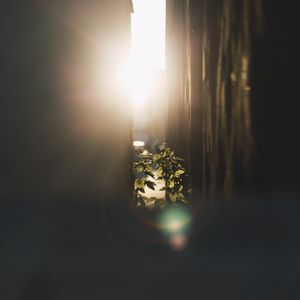 Glaube wächst aus Gottes Wort