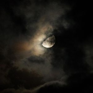 Was in der dunkelheit wächst zerstört