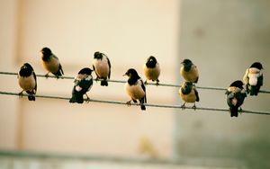 Der große Auftrag: Macht zu Jüngern!