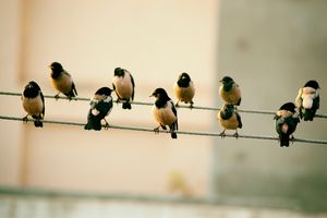 Der große Auftrag: Macht zu Jüngern!