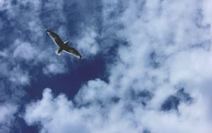 Der Himmel 02 - Unser Leben im Himmel
