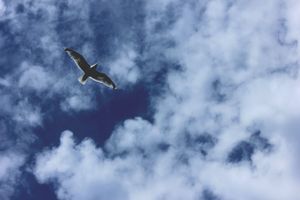 Der Himmel 02 - Unser Leben im Himmel