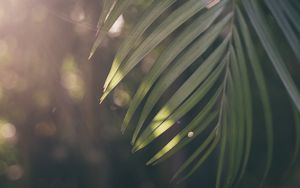 Der biblische Schöpfungsbericht in 1. Mose Kapitel 2, Teil 2/2