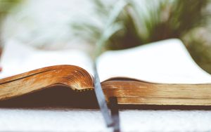 Jesus und die Bibel