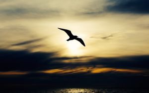 Orientiert Euch nach oben! - Gedanken zu Himmelfahrt