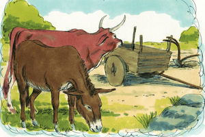 Bibel Illustrationen - Deuternomium 5
