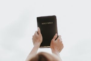 Das Buch des Lebens
