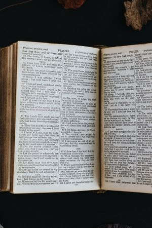 Spuren zum Kreuz - Christus im Alten Testament (AT)