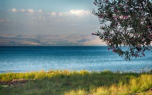 Abraham - Mitgehangen, mitgefangen? – Kampf im verheißenen Land?