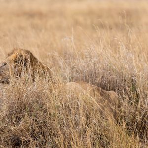 Den wahren Feind erkennen