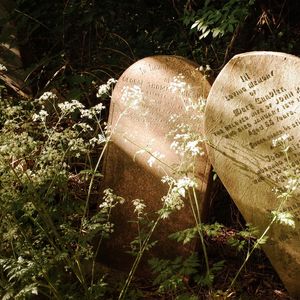 Guter Rat für allerlei Leute - Grabsteine