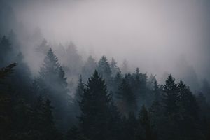 Die Hölle - eine Realität, die oft verschwiegen wird