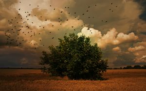 Die 10 Gleichnisse vom Reich der Himmel