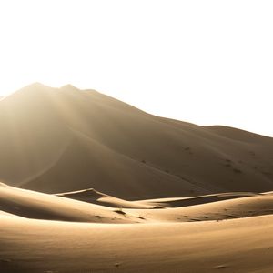 Schatten vor der Hitze