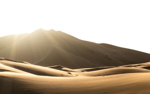 Schatten vor der Hitze
