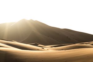 Schatten vor der Hitze