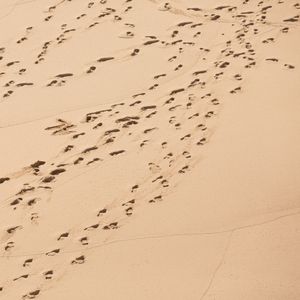 Die Aussendung der 12 Jünger