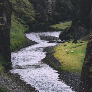 Er wird trinken vom Bach an dem Wege