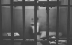 Freiheit hinter Gittern