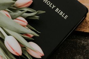 Die Bibel - Gottes Wort oder ein vororientalisches Märchenbuch?