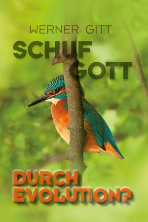 Schuf Gott durch Evolution?