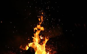 Light my fire