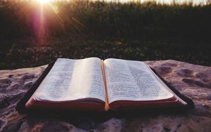 Die Bibel fasziniert mich... ...weil sie mir den Weg zu Jesus zeigt!