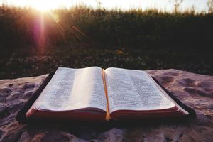 Die Bibel fasziniert mich... ...weil sie mir den Weg zu Jesus zeigt!