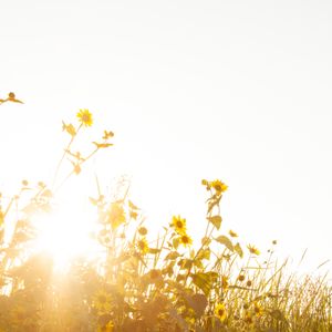 Der Herr sendet seine Güte