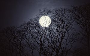 Das Licht in der Nacht