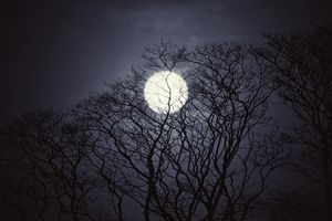 Das Licht in der Nacht