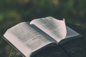 Reformation in der Gemeinde