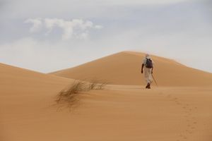 Der Weg durch die Wüste