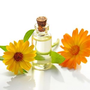 Antroposophie - Rudolf Steiners Intellektuellen-Sekte?