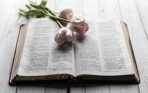 Christus lebt! - Das Buch des Lebens