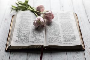 Christus lebt! - Das Buch des Lebens