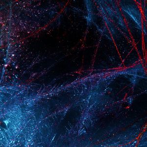 Neutestamentliche Bilder für die Gemeinde