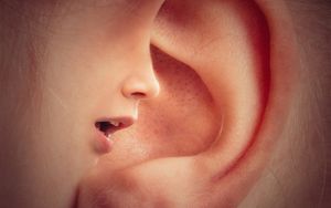 Der Glaubenskampf und die Treue zu Gottes Wort