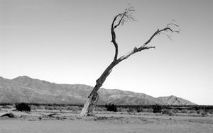 Der Tod ist tot
