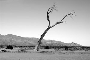 Der Tod ist tot