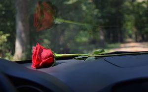 Überwindende Liebe
