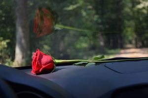 Überwindende Liebe