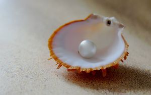 Die kostbare Perle
