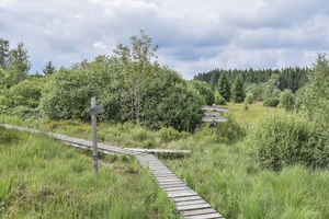 Gottes Führung erleben