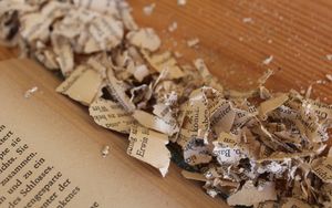 Was ist "perspektivische Verkürzung" in der biblischen Prophetie?