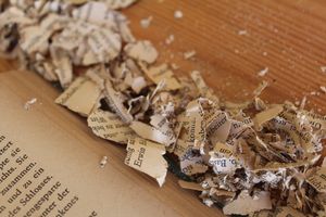 Was ist "perspektivische Verkürzung" in der biblischen Prophetie?