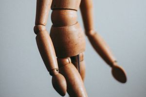 Der Mensch: Produkt des Zufalls oder geniale Konstruktion?
