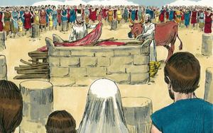 Bibel Illustrationen - Levitikus 1